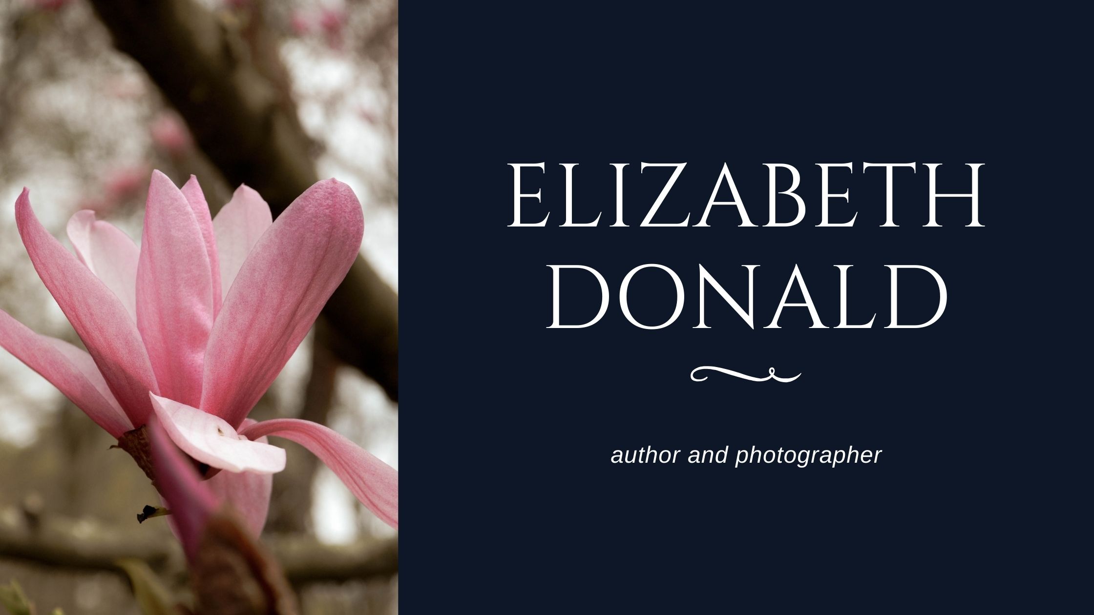 Elizabeth Donald
